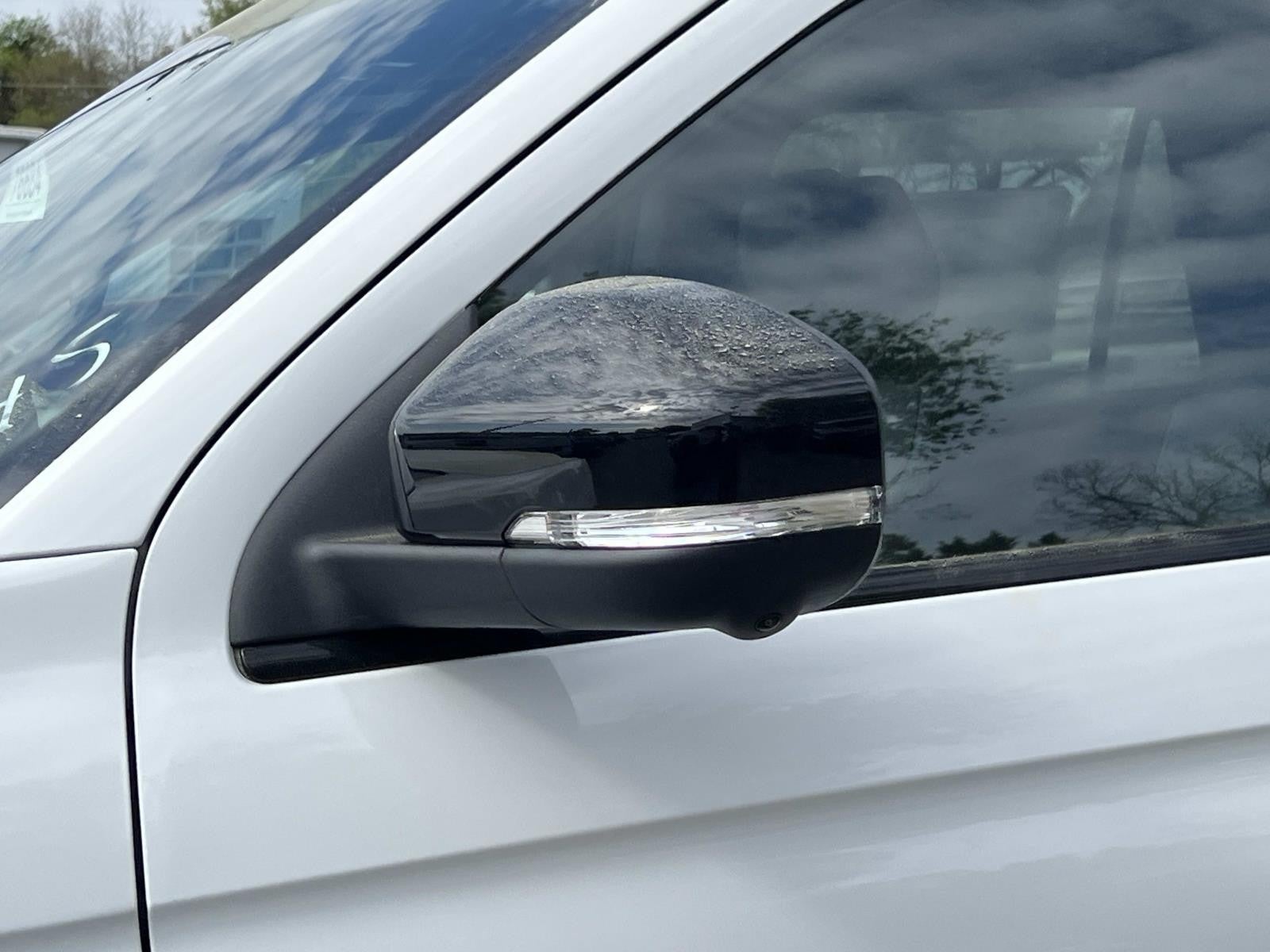 2026 Ford Expedition PLATINUM 4X4