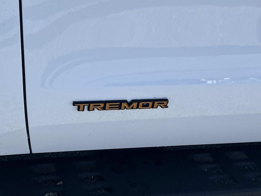 2025 Ford Expedition Tremor