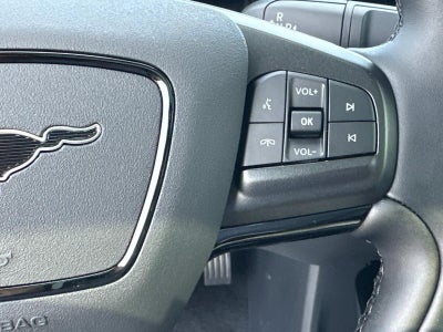 2025 Ford Mustang Mach-E PREMIUM RWD