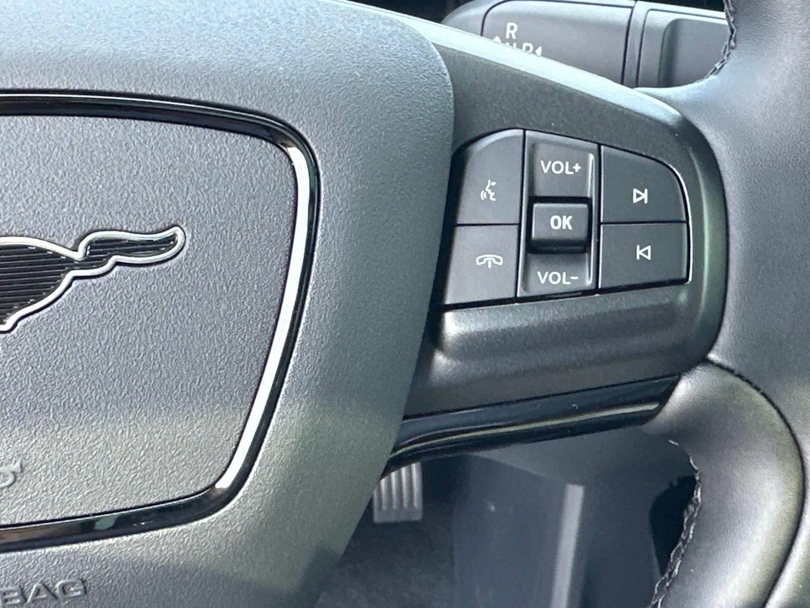 2025 Ford Mustang Mach-E PREMIUM RWD