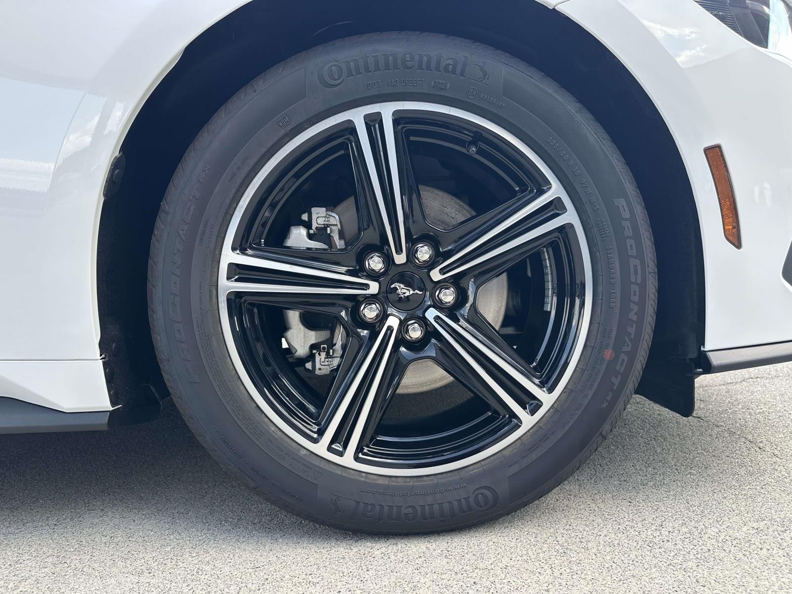 2025 Ford Mustang ECOBOOST FASTBACK