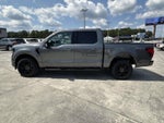 2025 Ford F-150 XLT 4WD SUPERCREW 5.5' BO